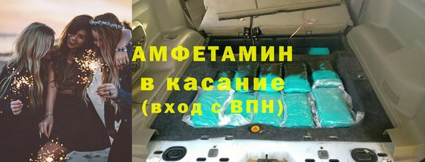 шишки Абаза