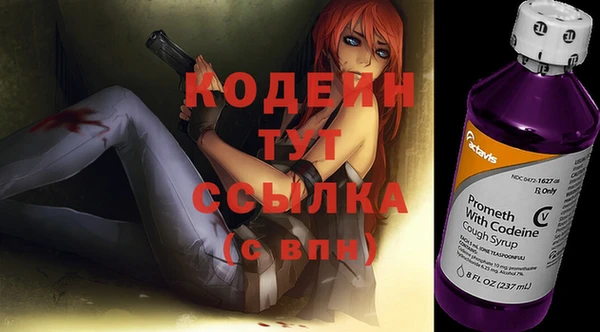 шишки Абаза
