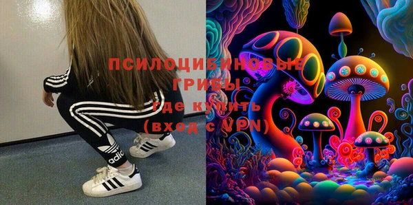 МДПВ Абдулино