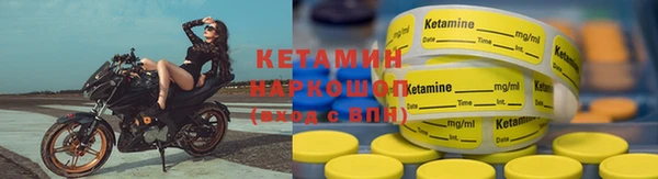 шишки Абаза