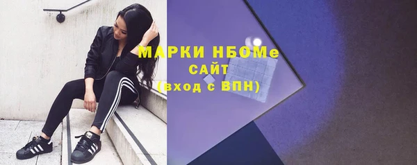шишки Абаза