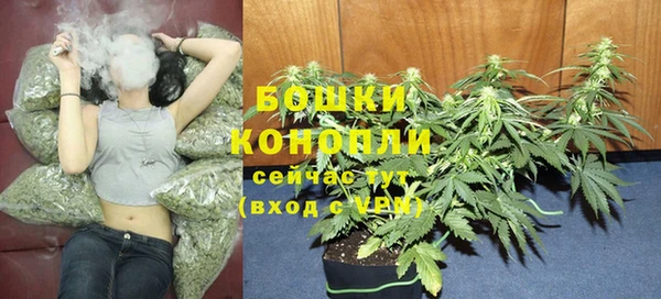 шишки Абаза