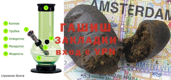 шишки Абаза
