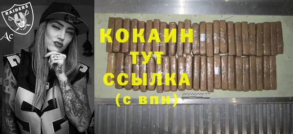 шишки Абаза