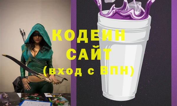 шишки Абаза