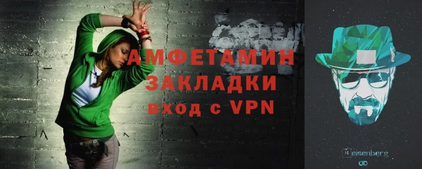 шишки Абаза