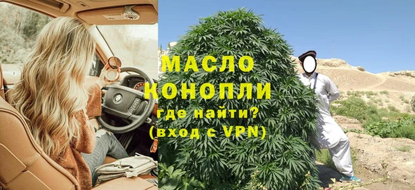 шишки Абаза